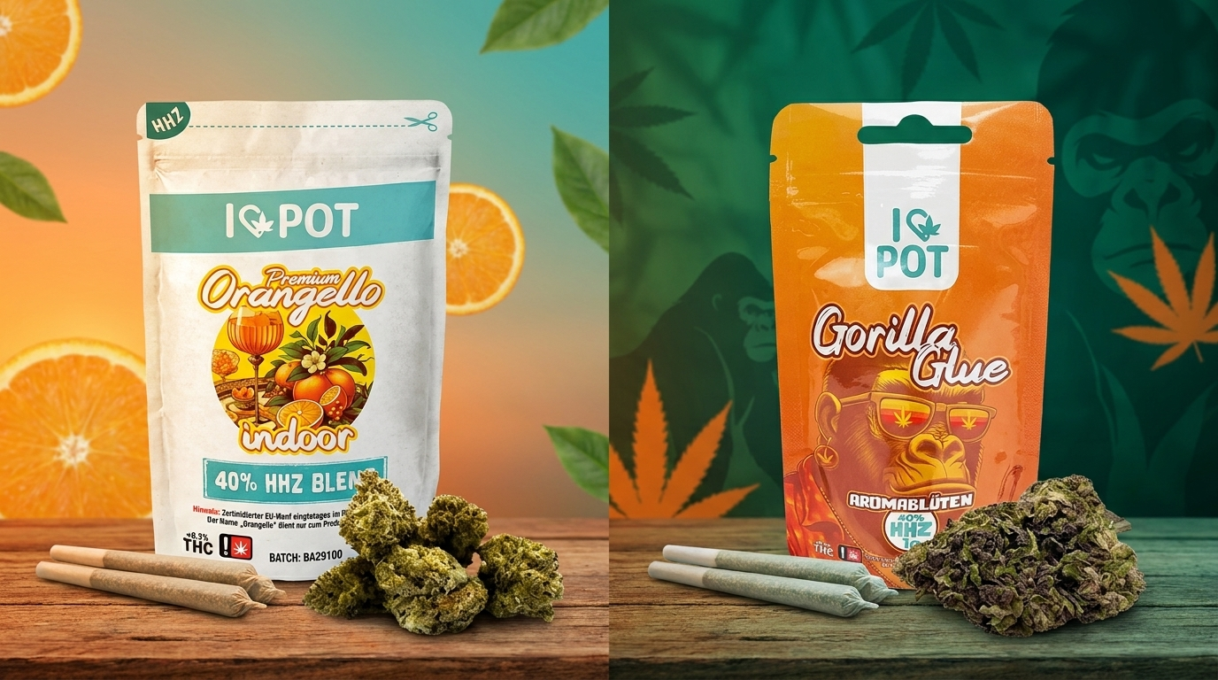 Pre-Roll vs. lose Blüte – Formatvergleich am Beispiel Gorilla Glue & Orangello
