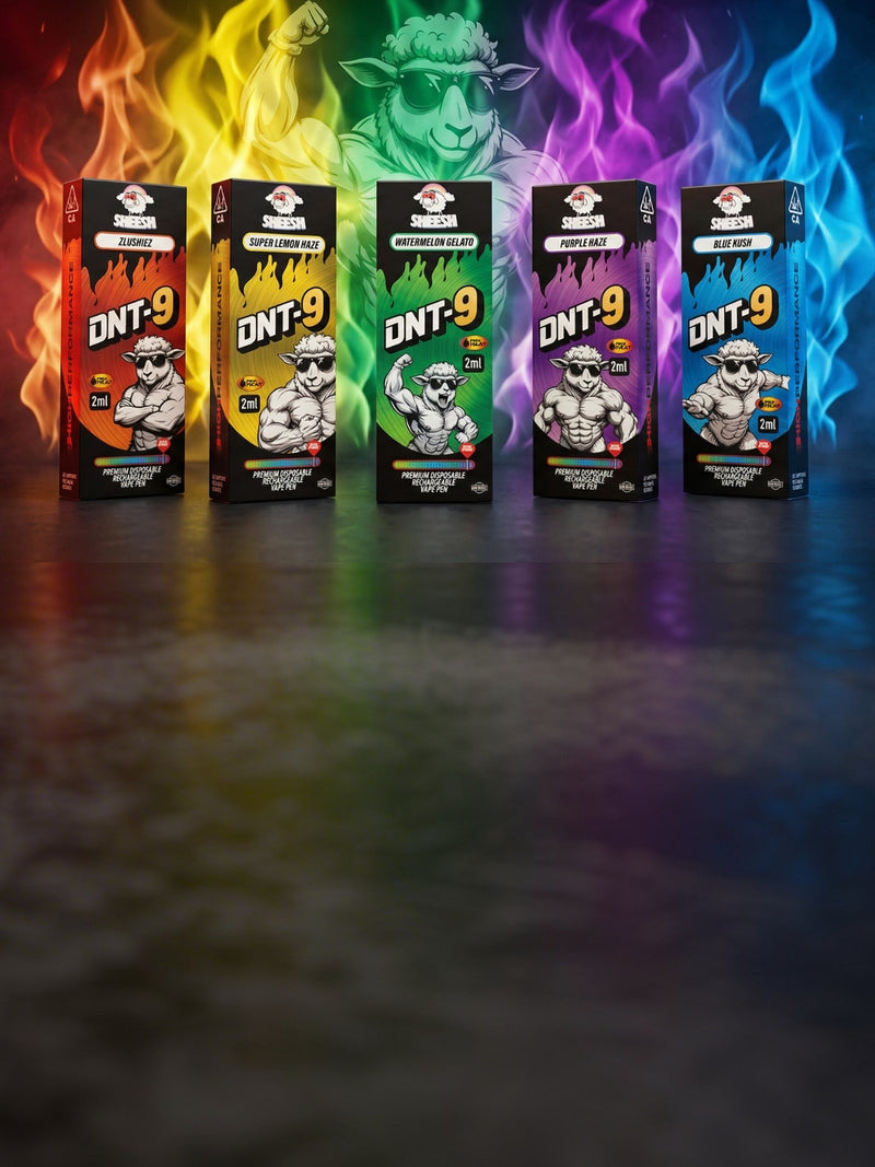 Sheesh_DNT9_banner_mobil