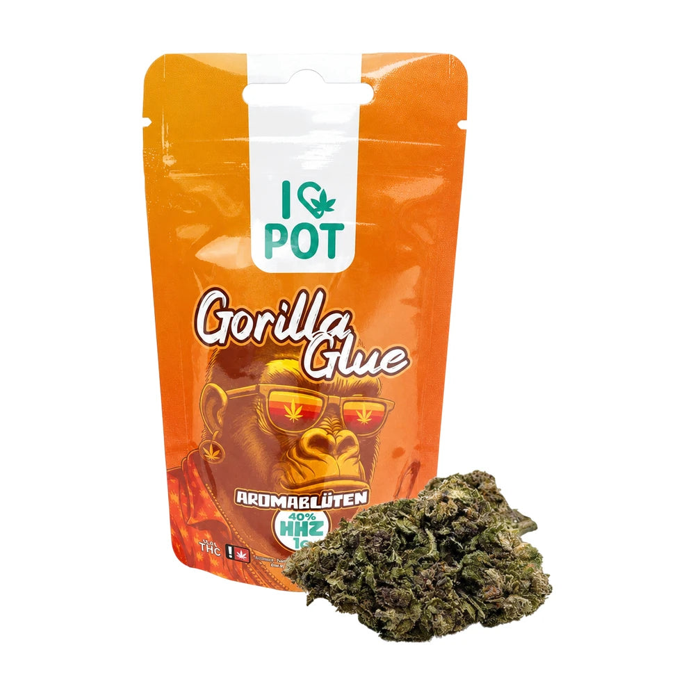 HHZ Blüte - Gorilla Glue